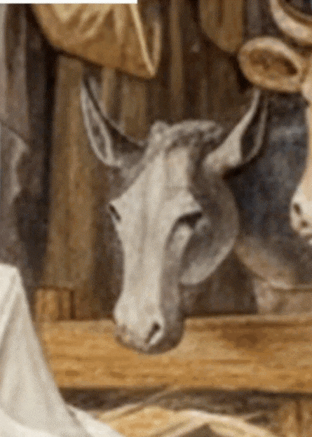 Je suis l&rsquo;âne de la crèche