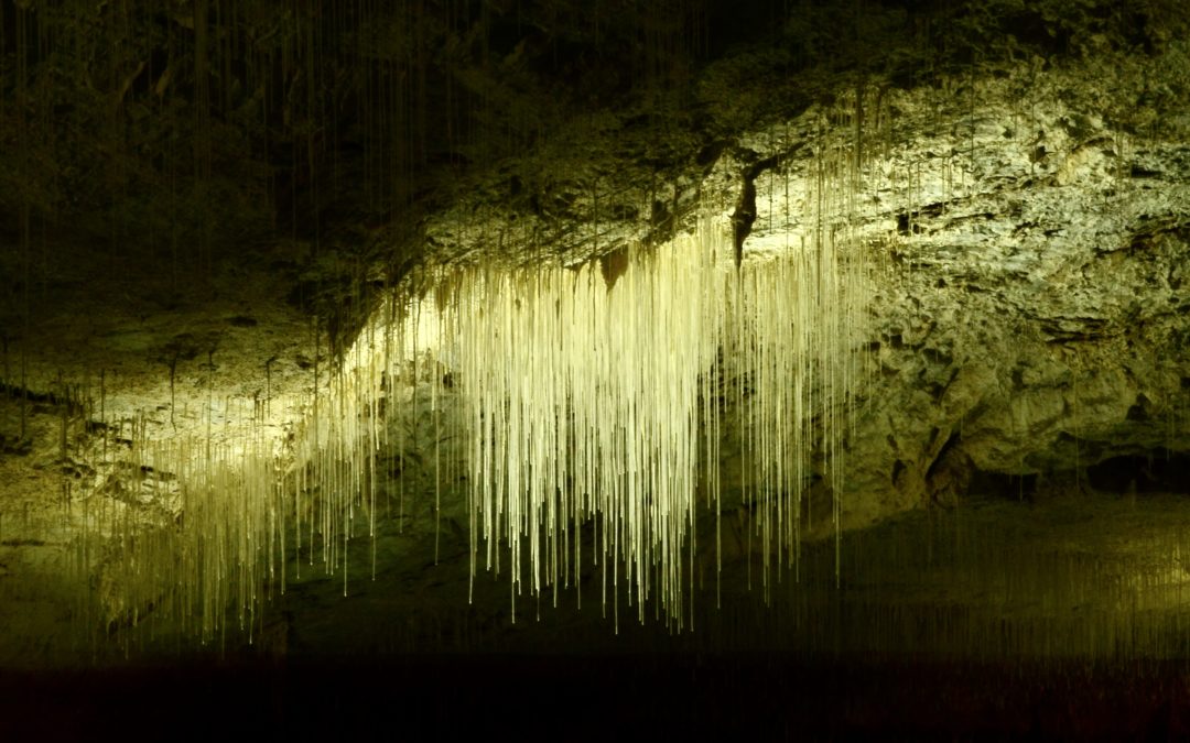 Une lumière dans nos périphéries