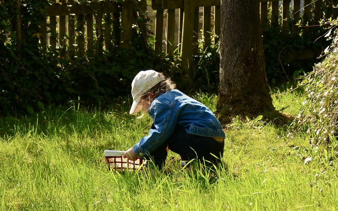 La beauté qui ouvre le chemin