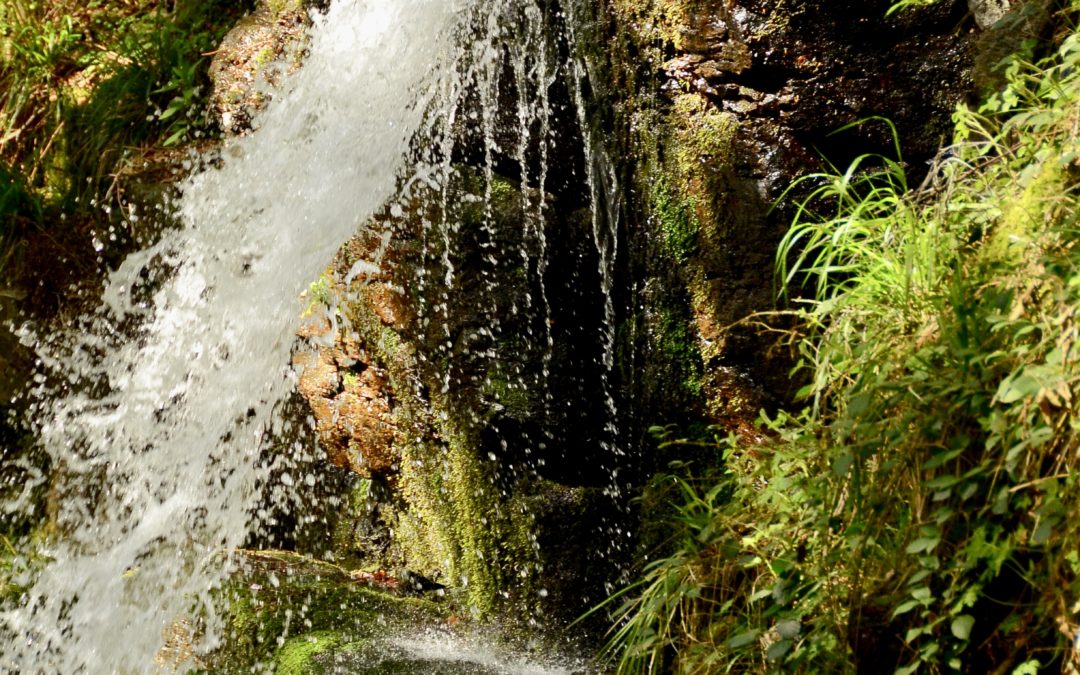 « Donne-moi à boire » – l’eau vive