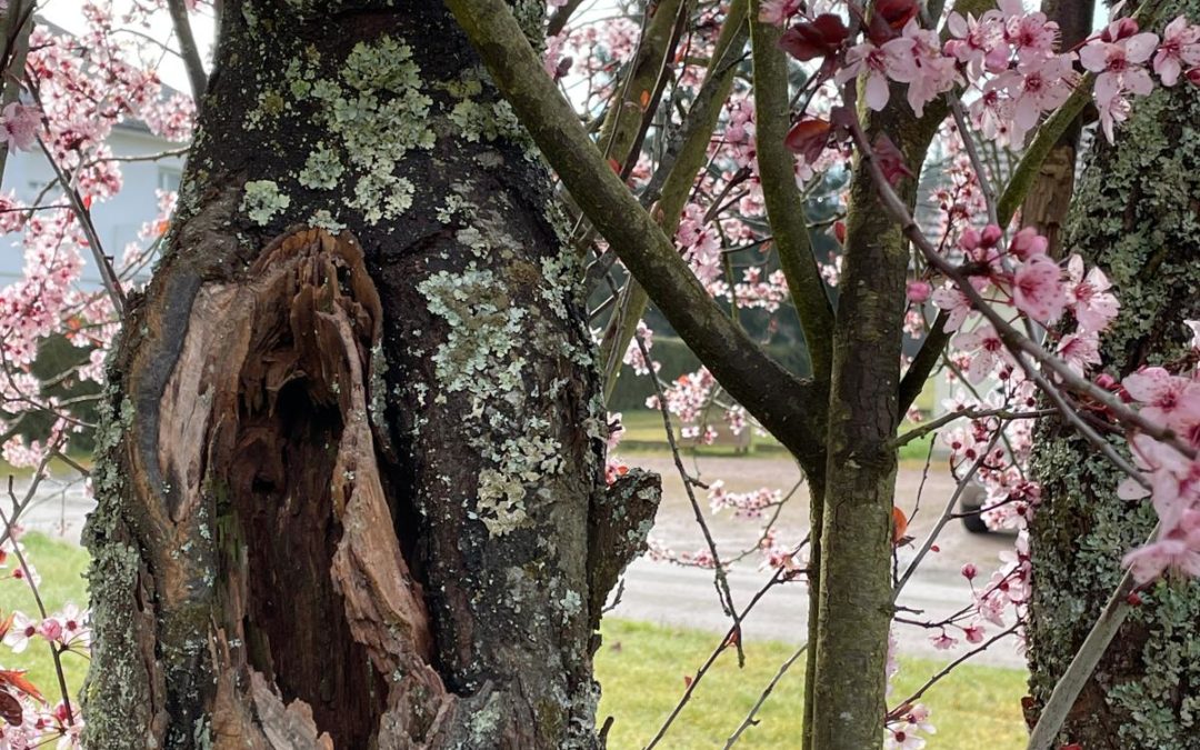 Eveille-toi, o toi qui dors