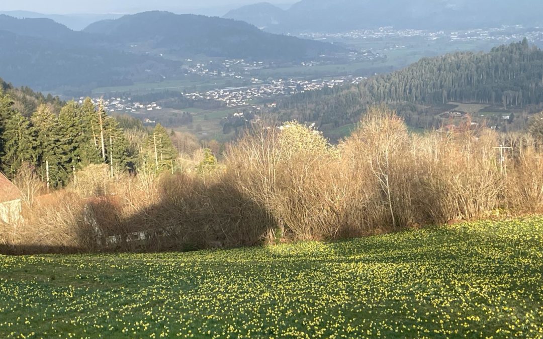 Le jardin de la Vie retrouvée